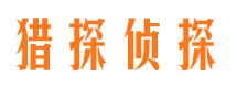 中沙外遇调查取证